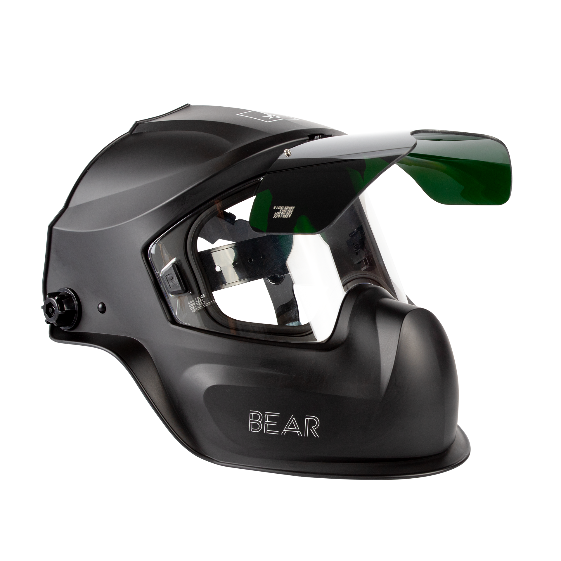 bear